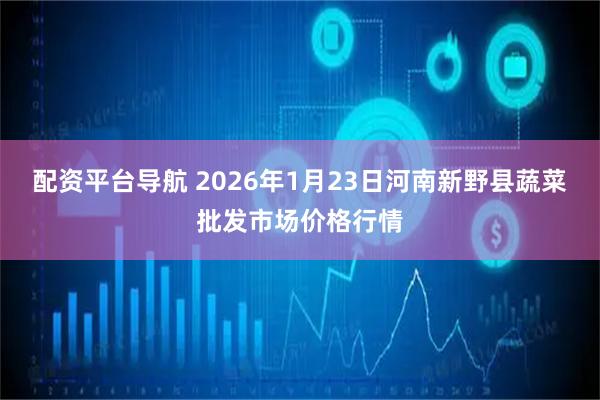 配资平台导航 2026年1月23日河南新野县蔬菜批发市场价格行情