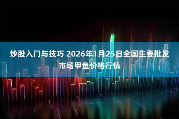 炒股入门与技巧 2026年1月25日全国主要批发市场甲鱼价格行情