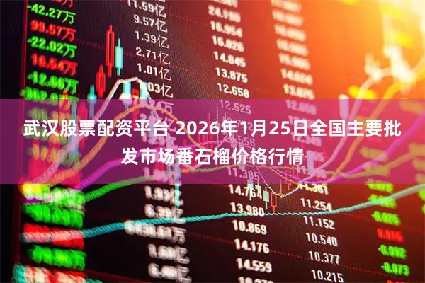 武汉股票配资平台 2026年1月25日全国主要批发市场番石榴价格行情
